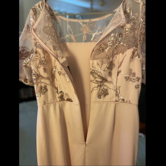 FREE SHIP ADRIANNA PAPELL Embroidered Crepe Satin Gown, Joyful Blush - Picture 4 of 10